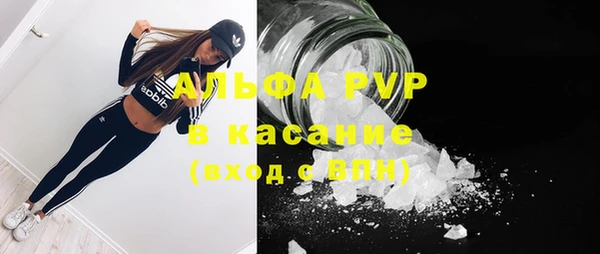 spice Алзамай