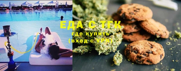 spice Алзамай