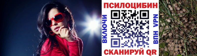 Галлюциногенные грибы GOLDEN TEACHER  купить наркотик  Навашино 